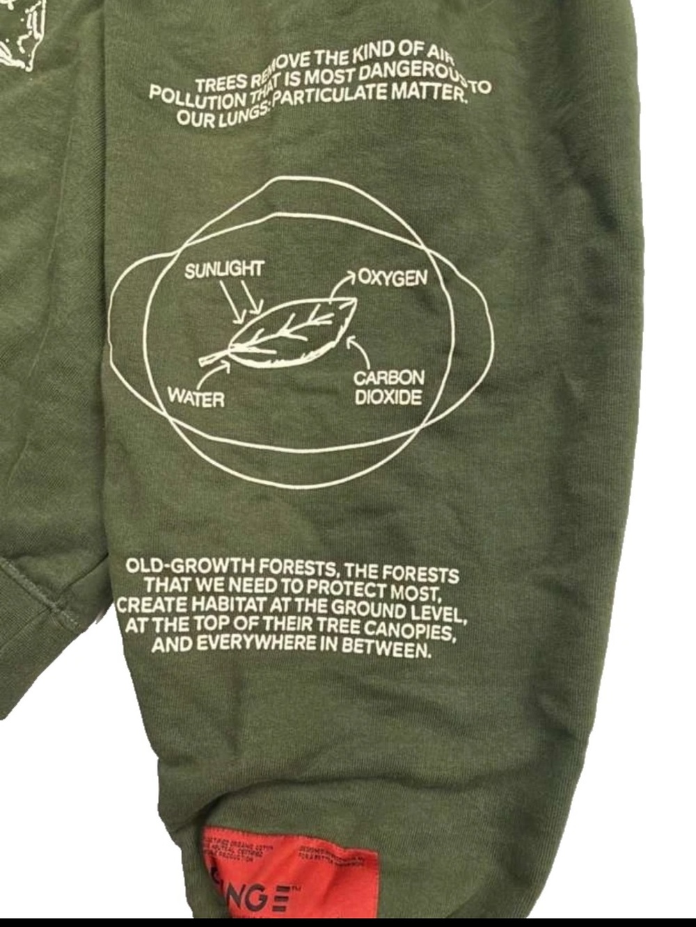 CHNGE Unisex Trees Are The Root Oversized Cuffed Long Sleeve Hoodie, Green, med - Picture 8 of 16